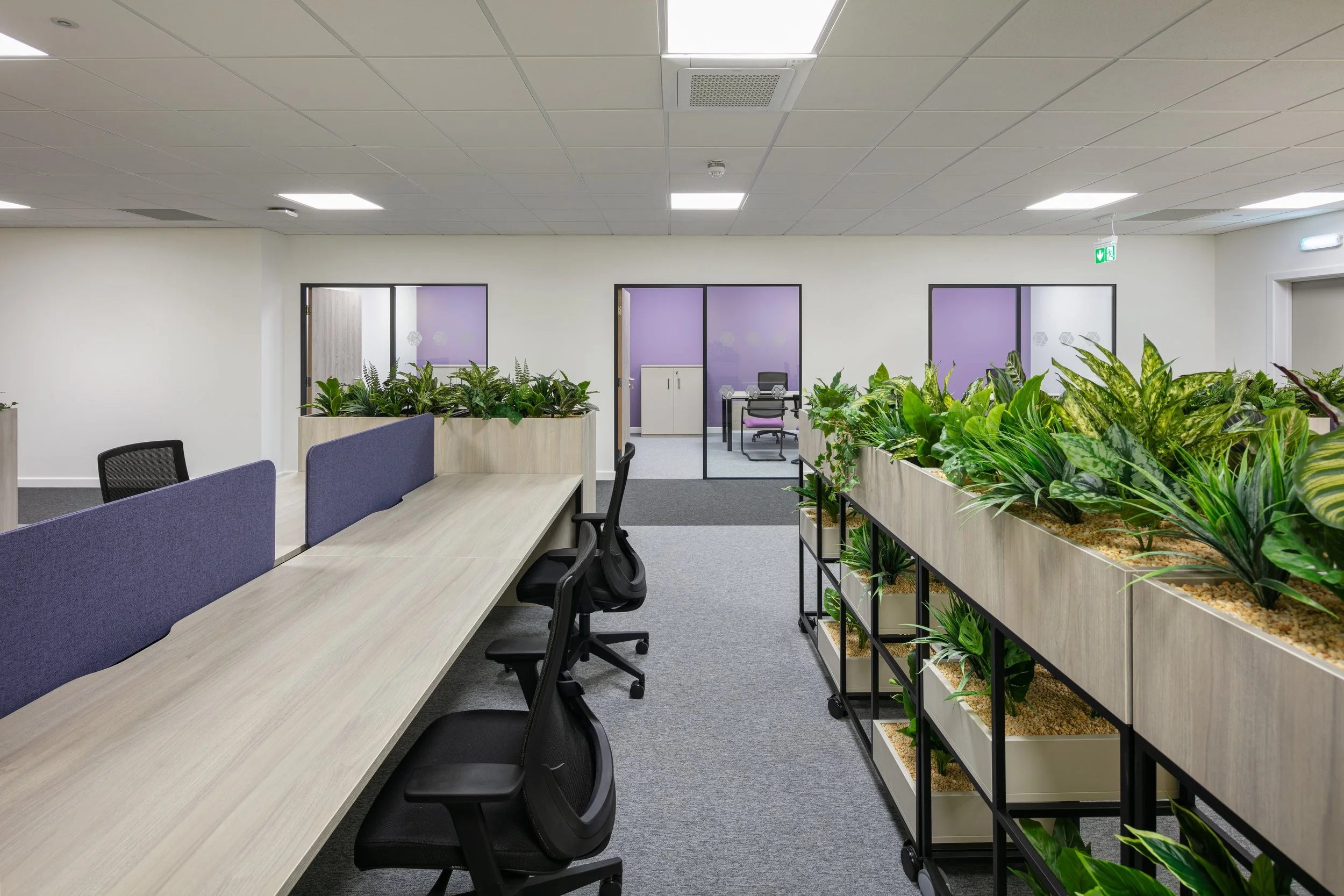 4 Apollo 1D0A8969.jpg