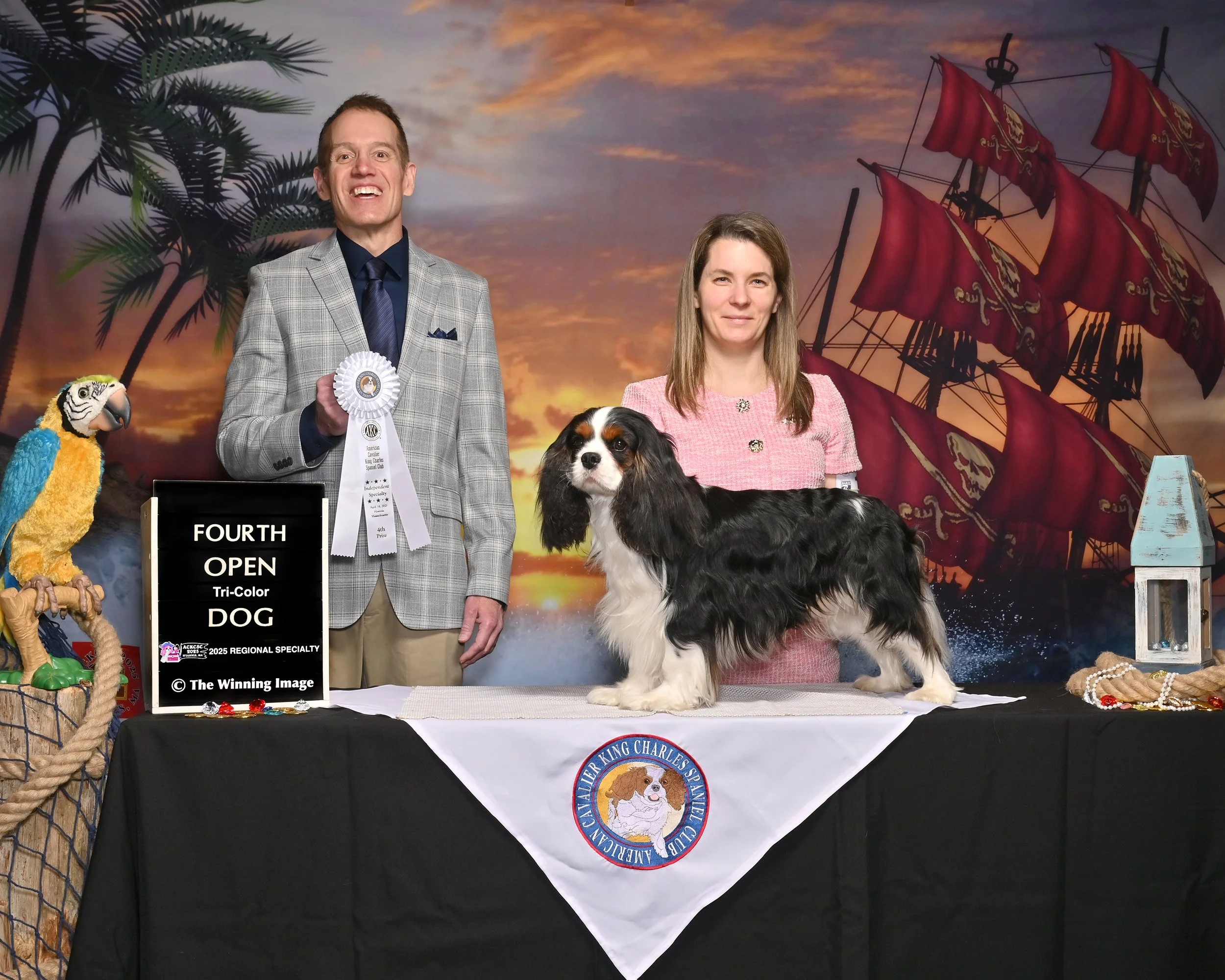 Chic AKC 4th Open dog.jpg