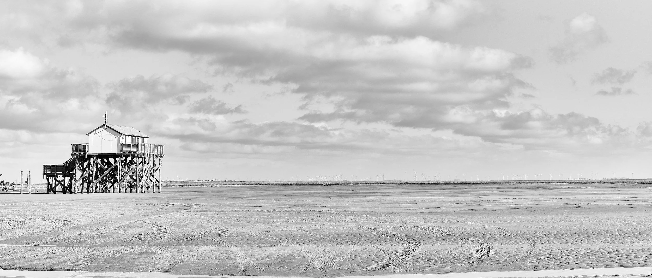 _DSC3825.jpg