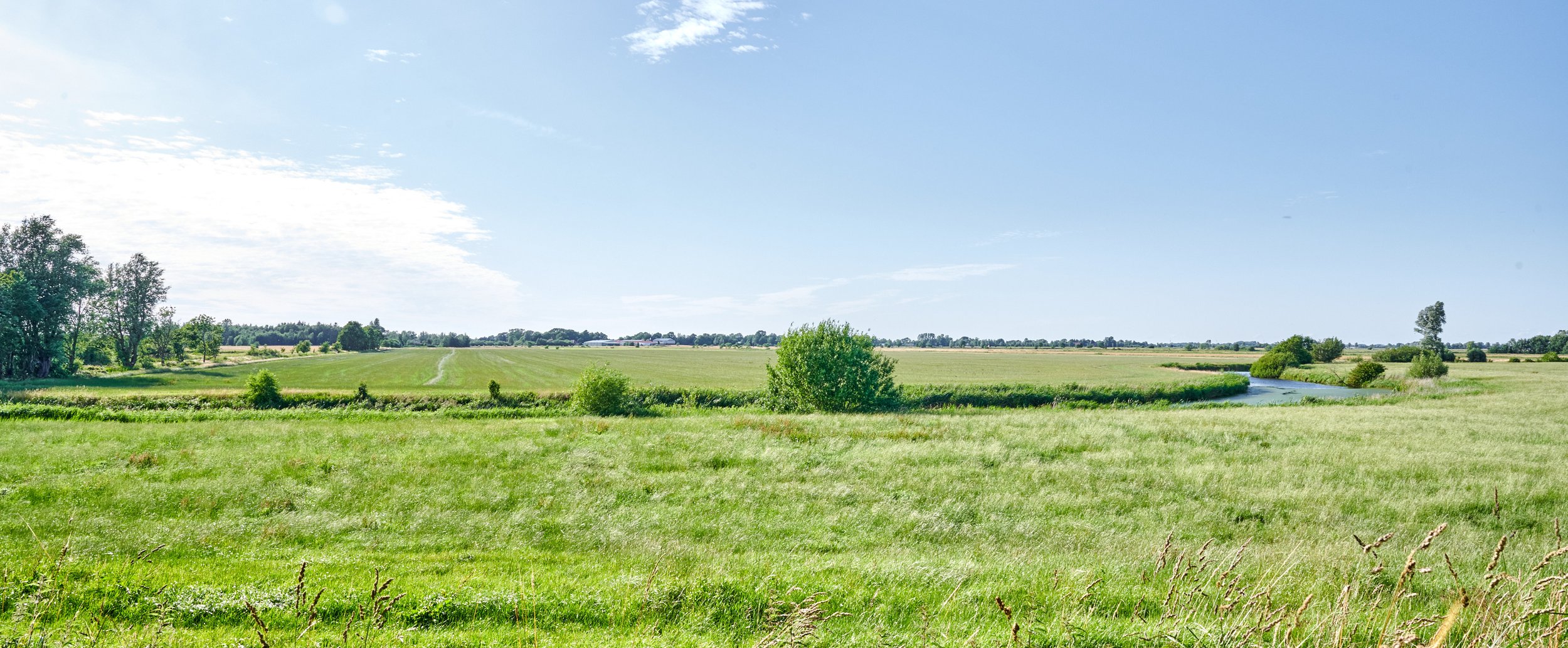 Landfein-Ferienhaus-Fedderingen_DSC4440.jpg