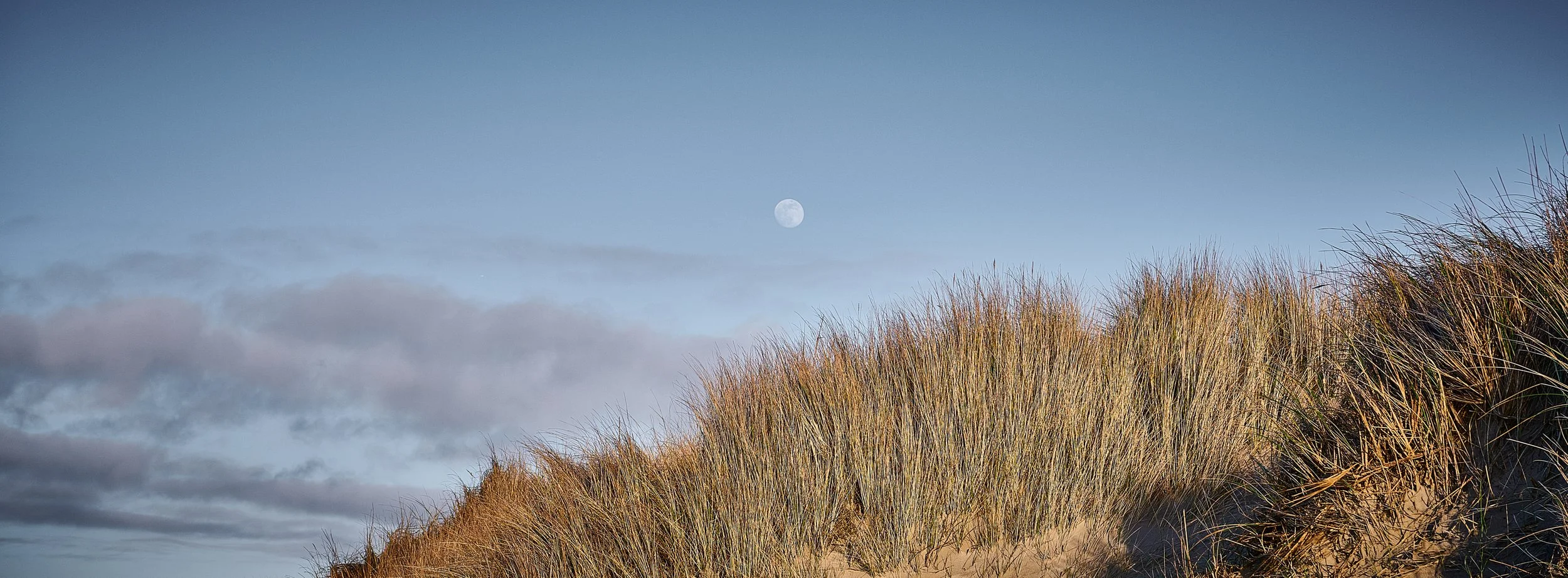 _DSC4000.jpg