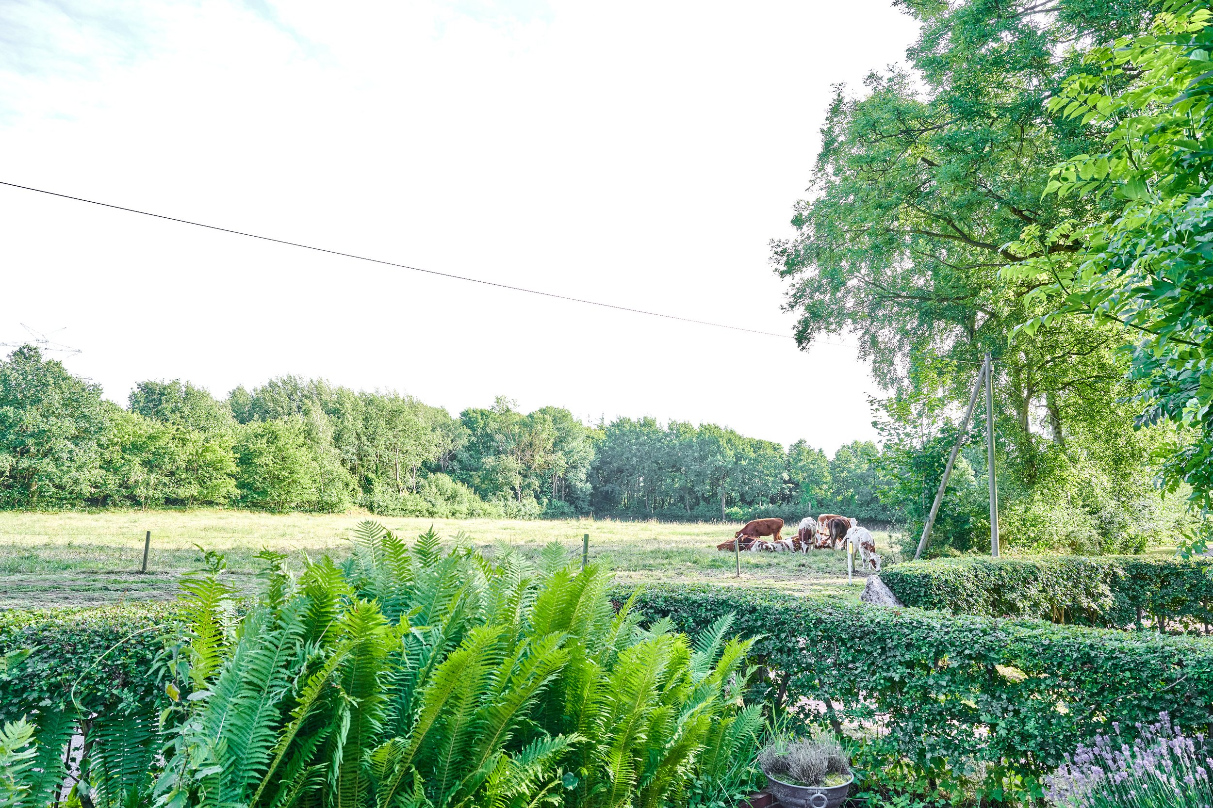 Landfein-Ferienhaus-Fedderingen_DSC4413.jpg