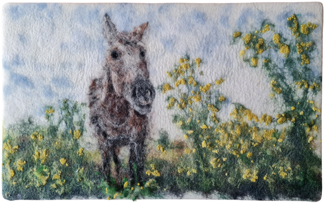 Ich liege in der Wiese