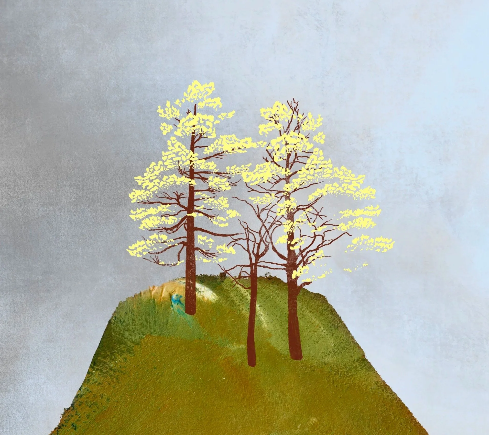 environment
