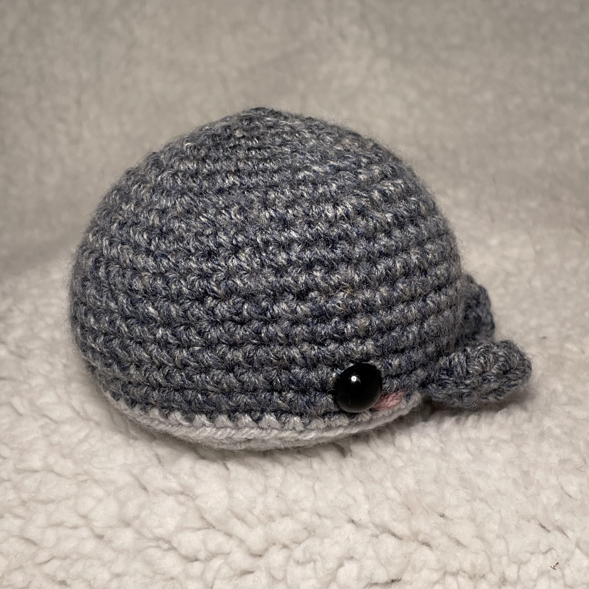 Small Chonky Whale