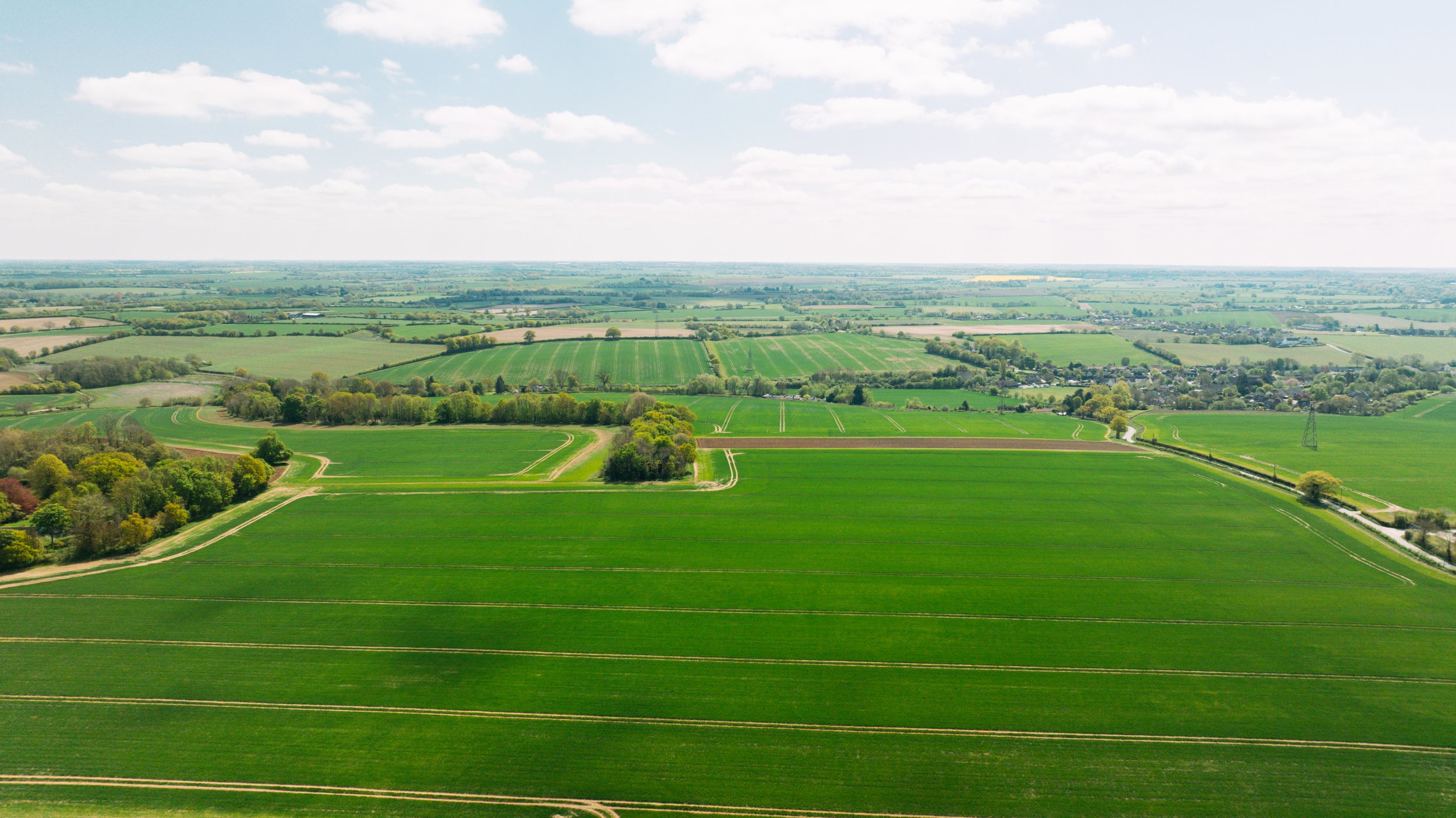 DJI_0012-2.jpg