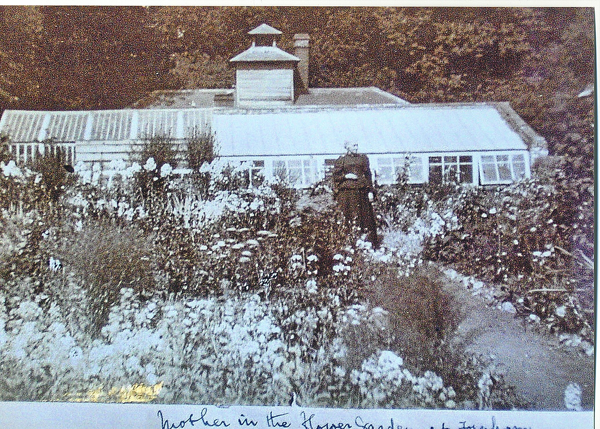 Scan5_001.jpg