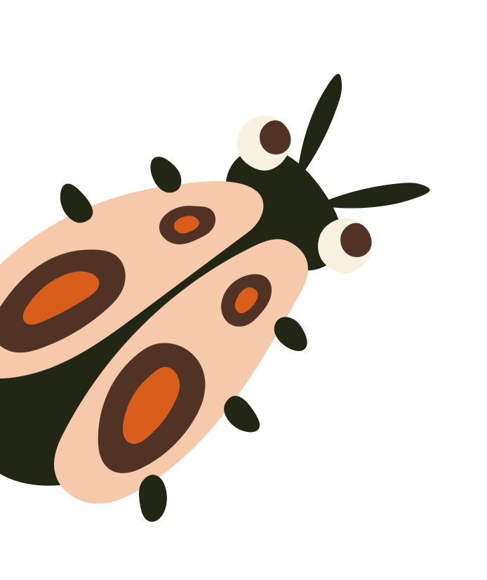 An illustration of a cartoon ladybug with black spots and white eyes.