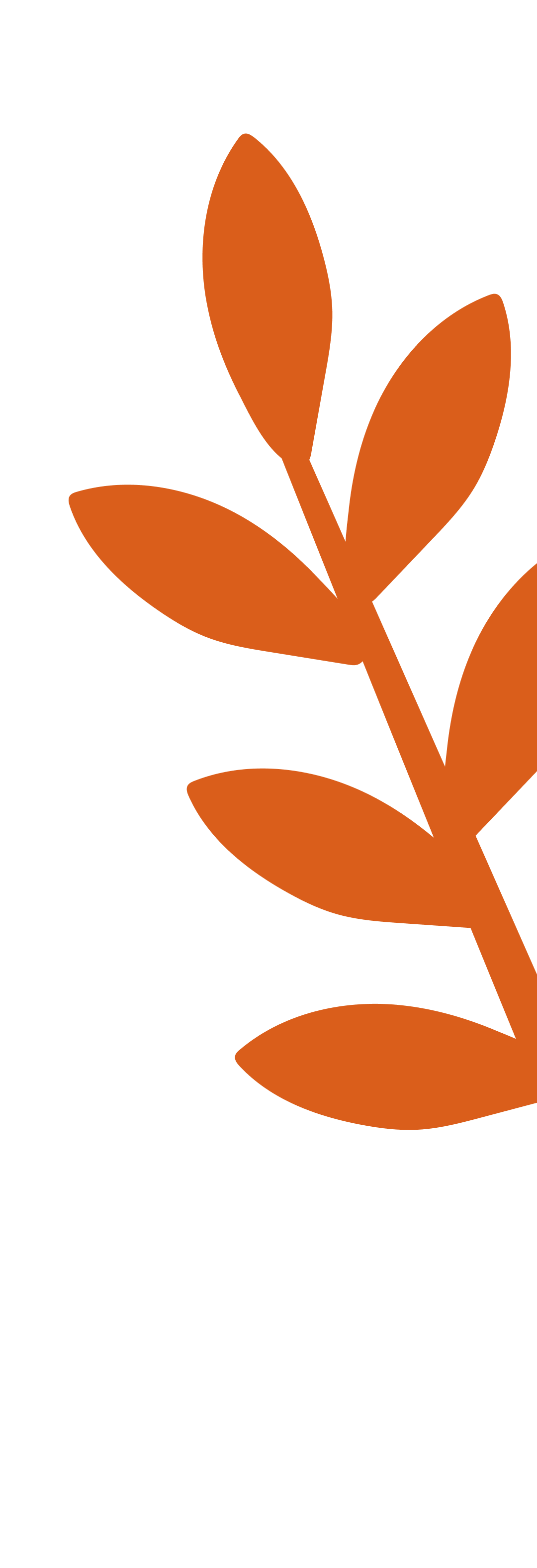 Minimalist orange illustration of a branch with five leaves on a black background.