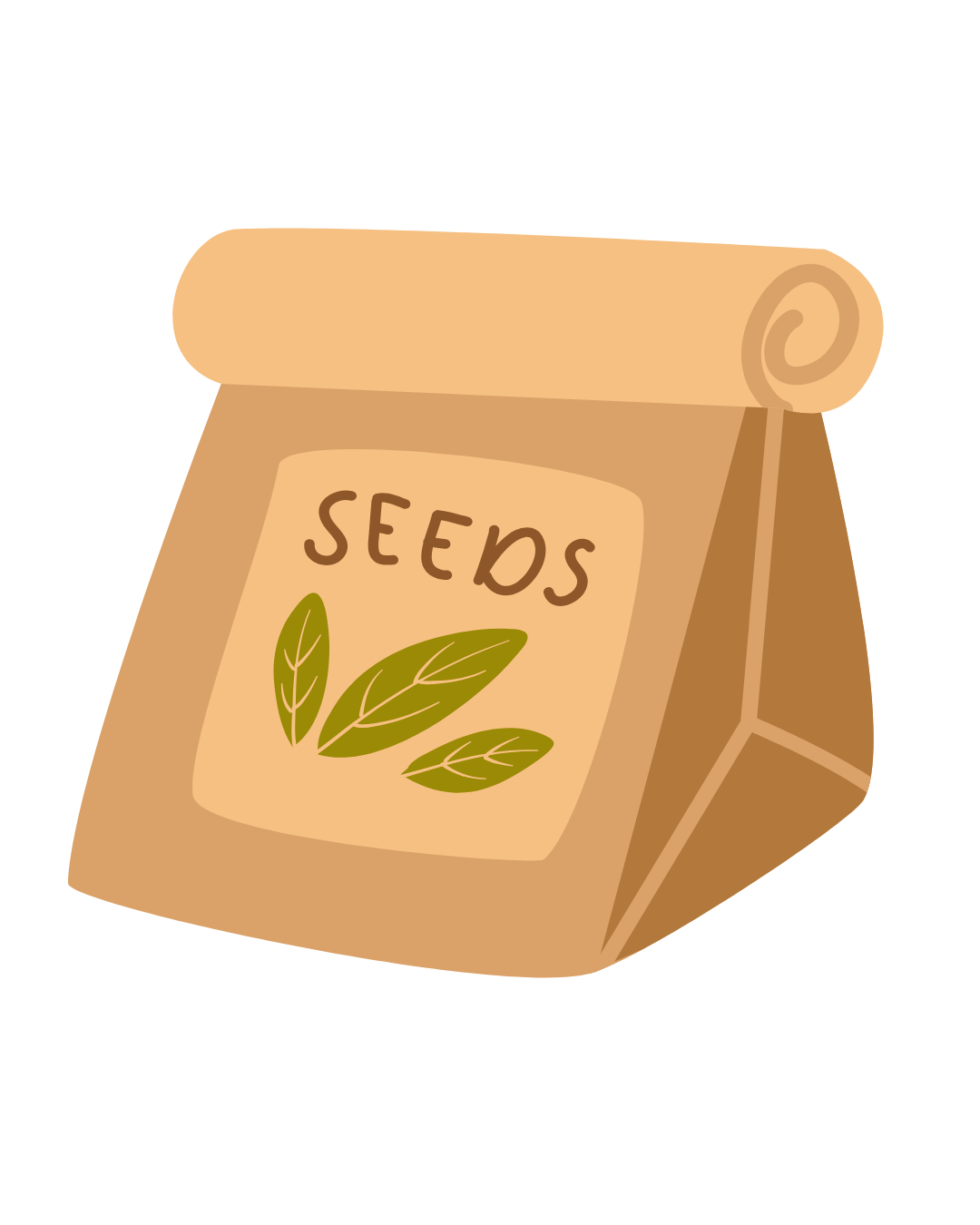 Illustration of a brown paper bag labeled 'SEEDS' with green leaves on the front.