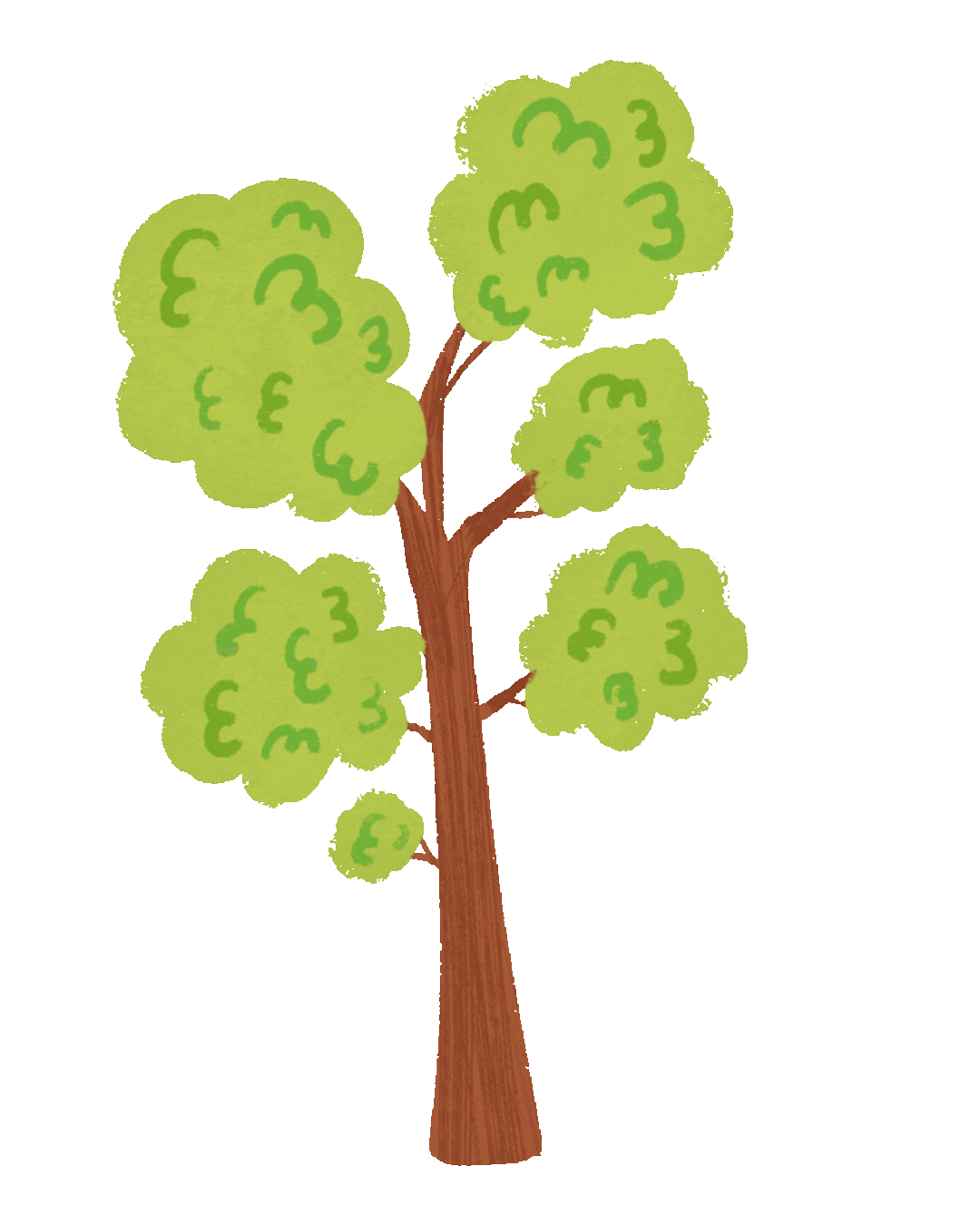 A simple drawing of a tall tree with a brown trunk and light green foliage, set against a matching green background.