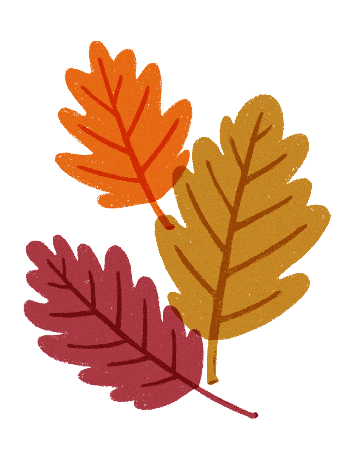 Three colorful autumn leaves in red, yellow, and orange with visible veins.