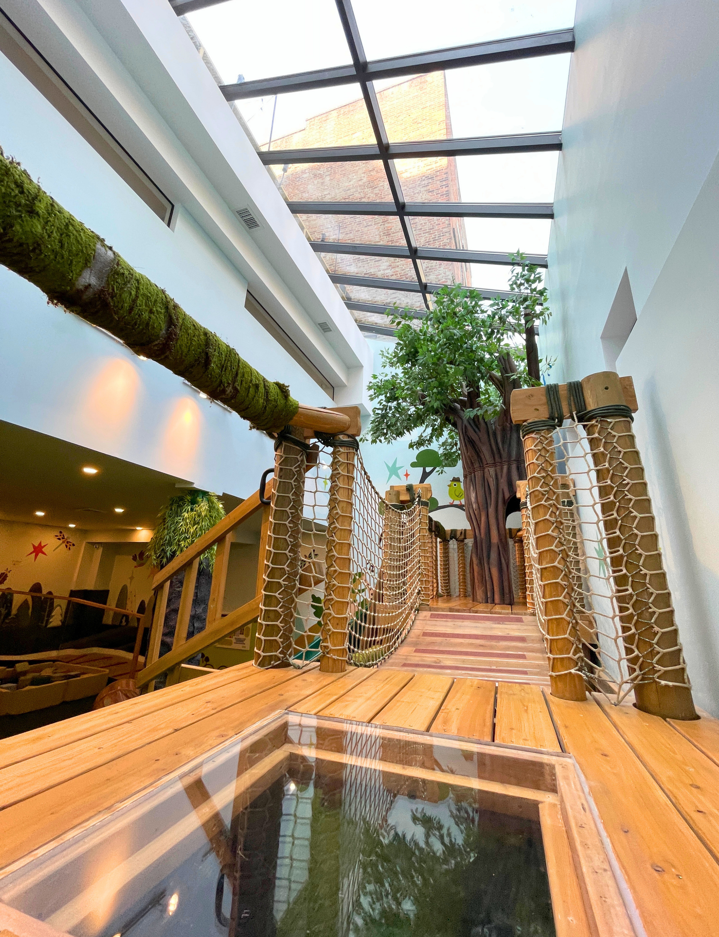 Indoor area featuring a large glass roof allowing natural light, a tree-like structure, and a wooden walkway with a safety net railing.