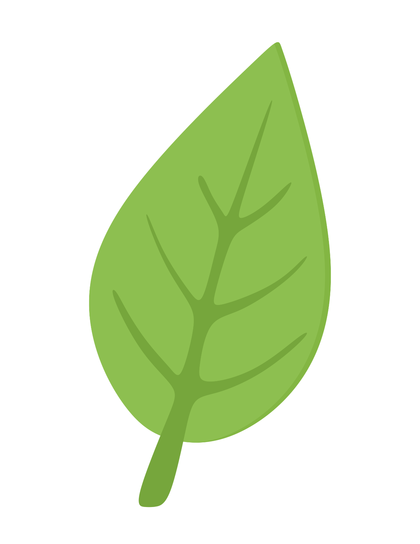 A bright green leaf with visible veins, isolated on a black background.