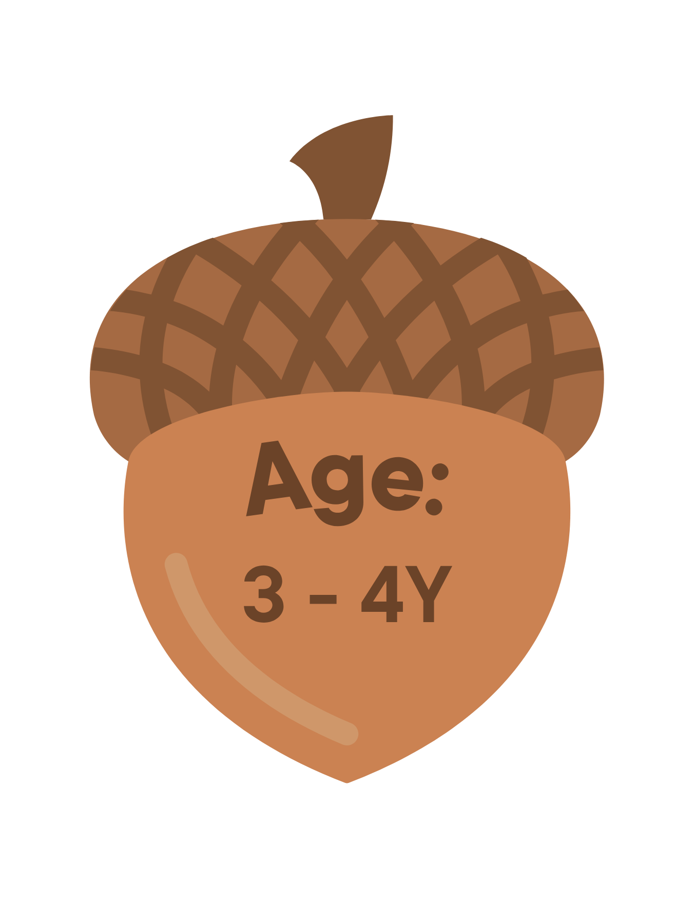 An  acorn with a label reading 'Age: 3 - 4Y'