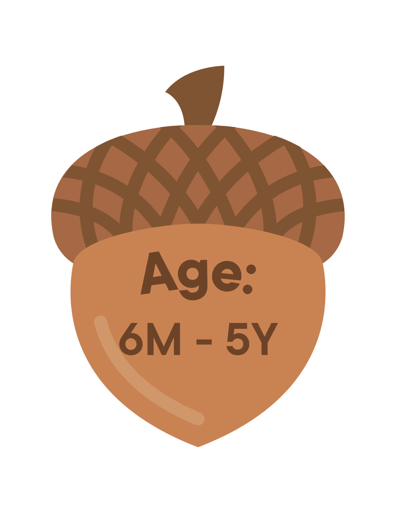 A graphic of an acorn that reads 'Age: 6M - 5Y'.