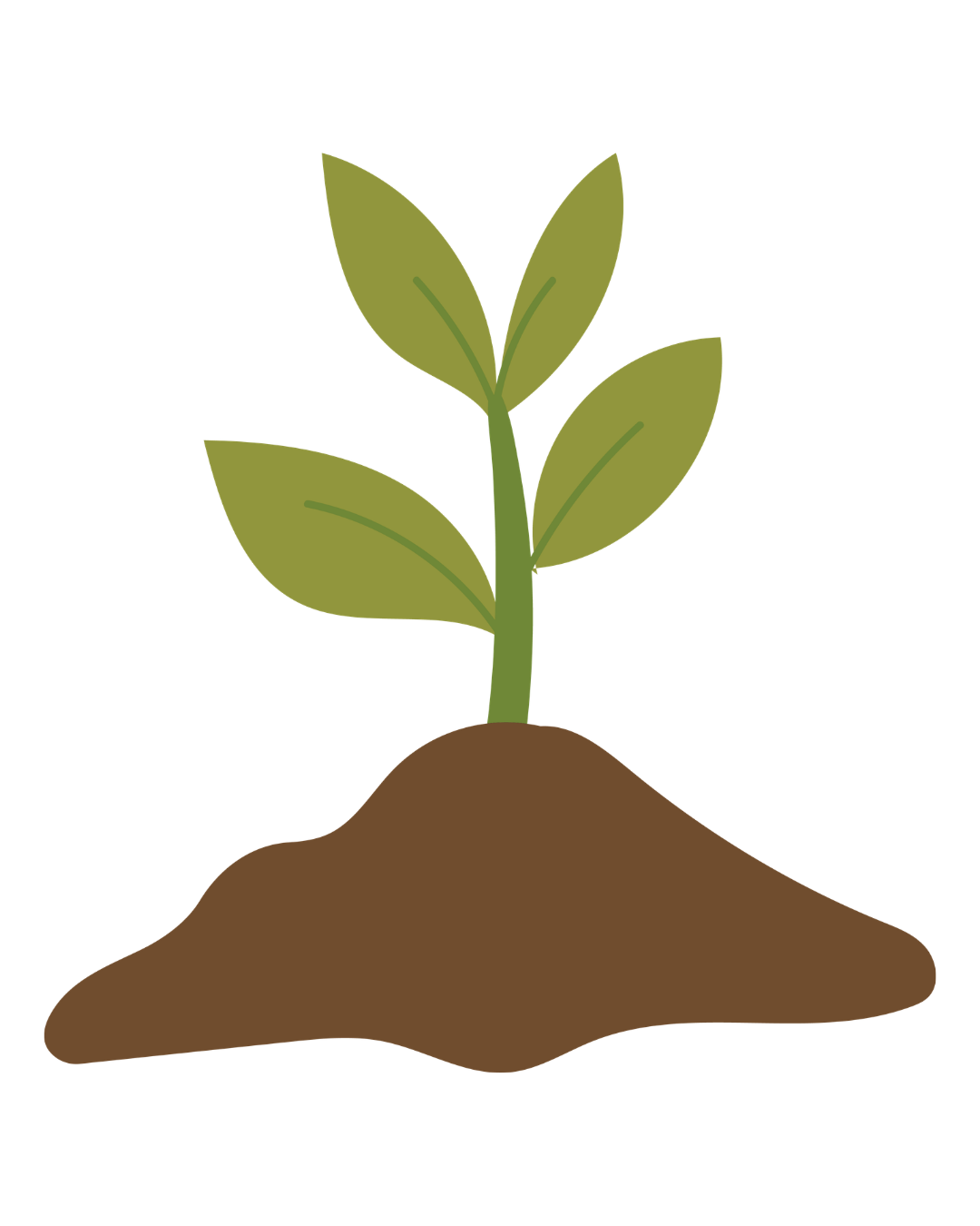 Illustration of a green plant with four leaves growing from brown soil.