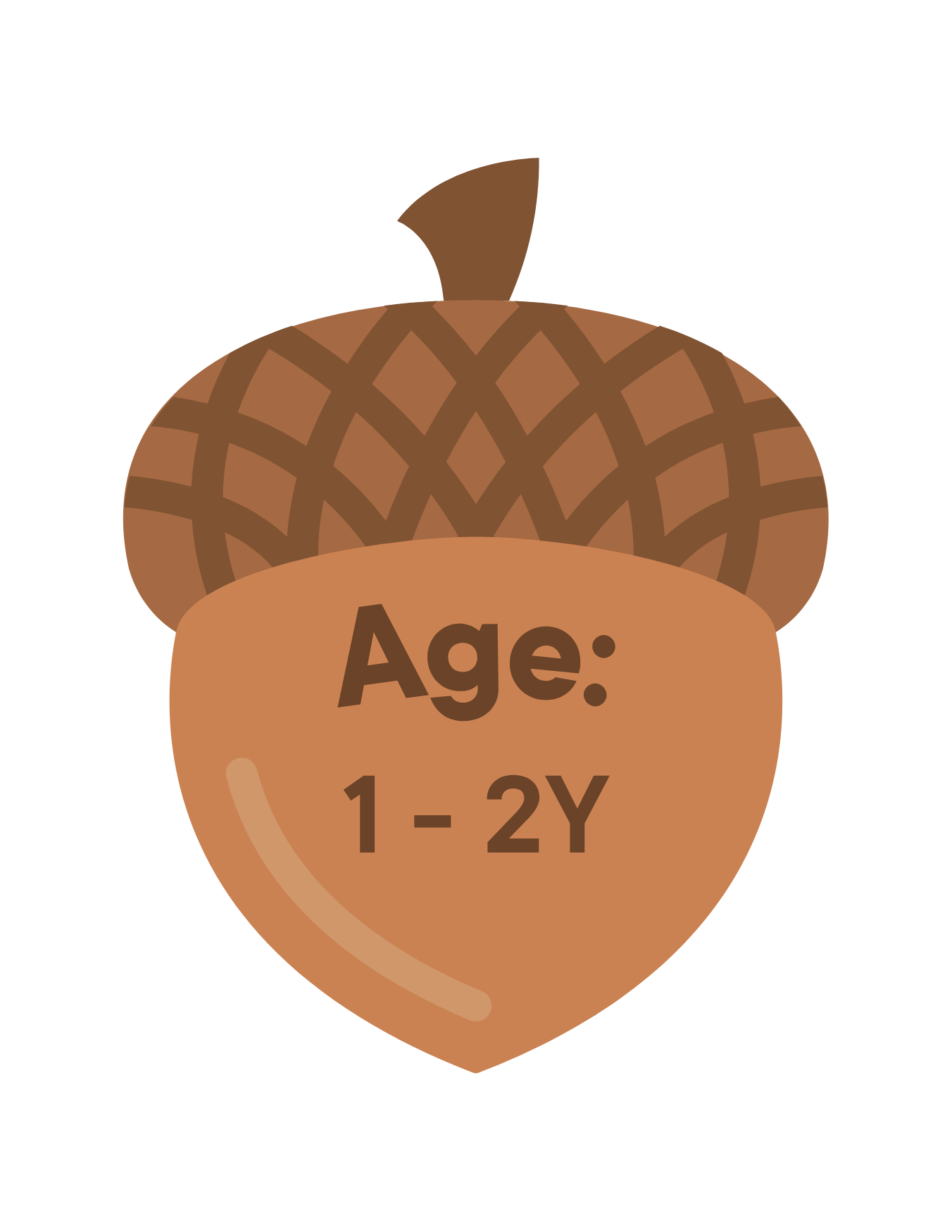 A stylized illustration of an acorn with a brown cap and a beige body, featuring a label that reads 'Age: 1-2Y' in brown text.