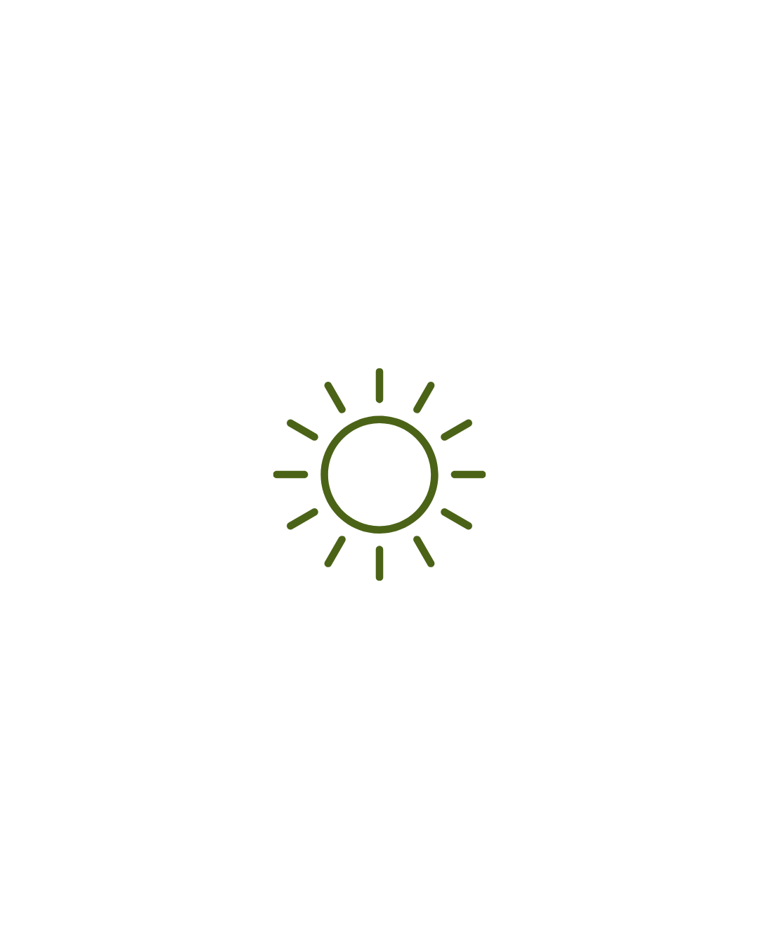 Simple black background with a green sun icon in the center.