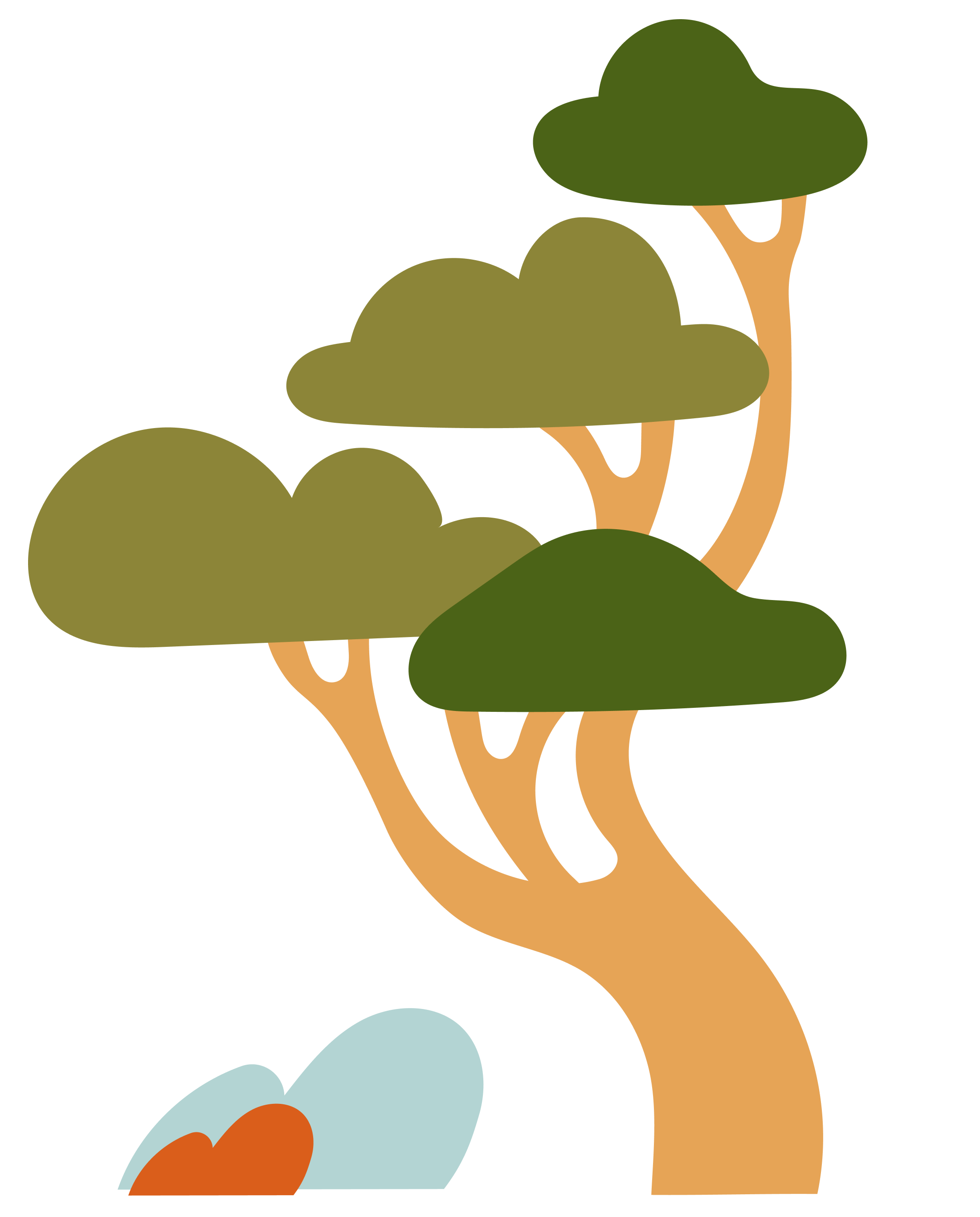 Simplified illustration of a tree with a curvy light brown trunk and green canopies, and rocks at its base.