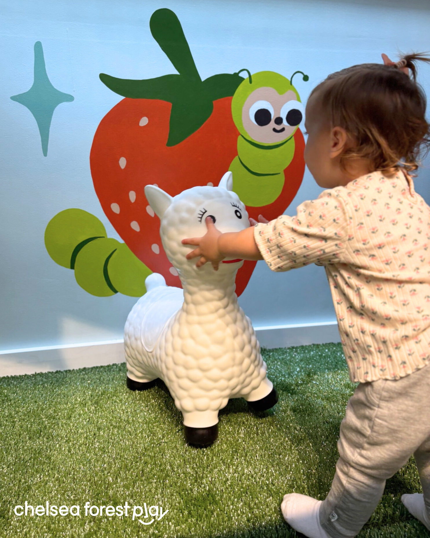 Instagram Posts (6).png