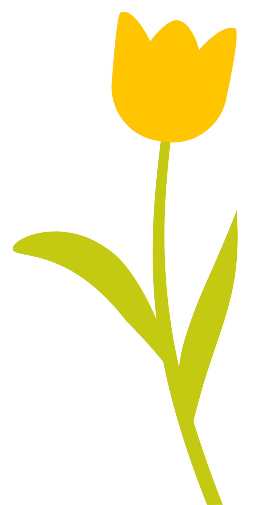 A simple drawing of a yellow tulip flower with green leaves and stem on a black background.