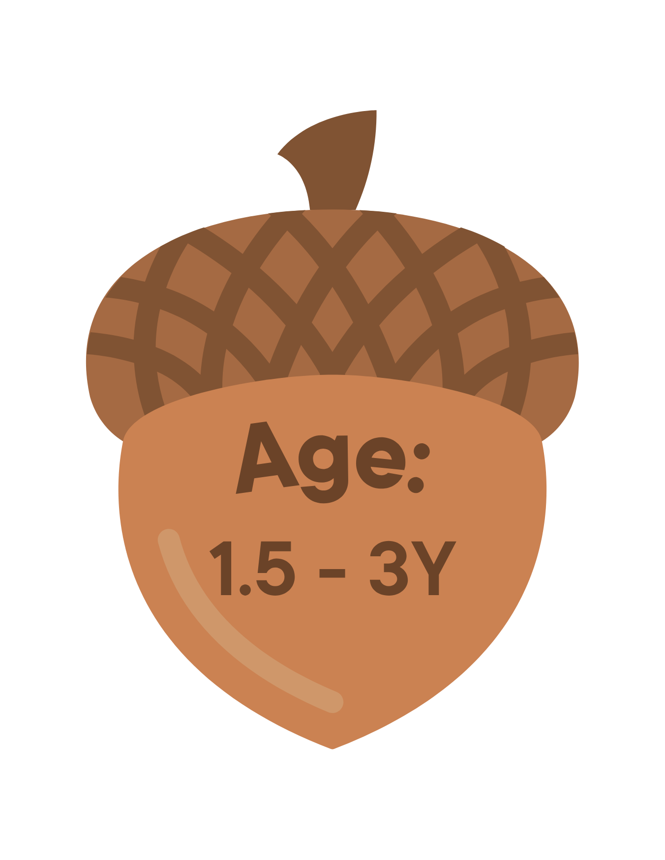 A stylized illustration of an acorn with a label reading 'Age: 1.5 - 3Y' attached to it.