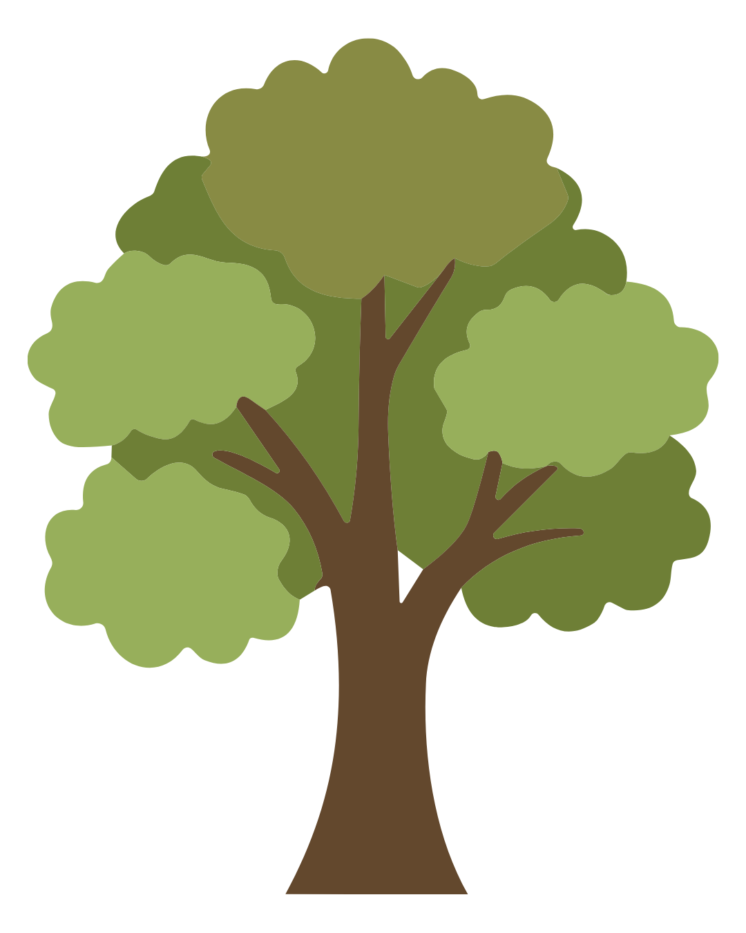 Simplified illustration of a tree with a thick brown trunk and green foliage.