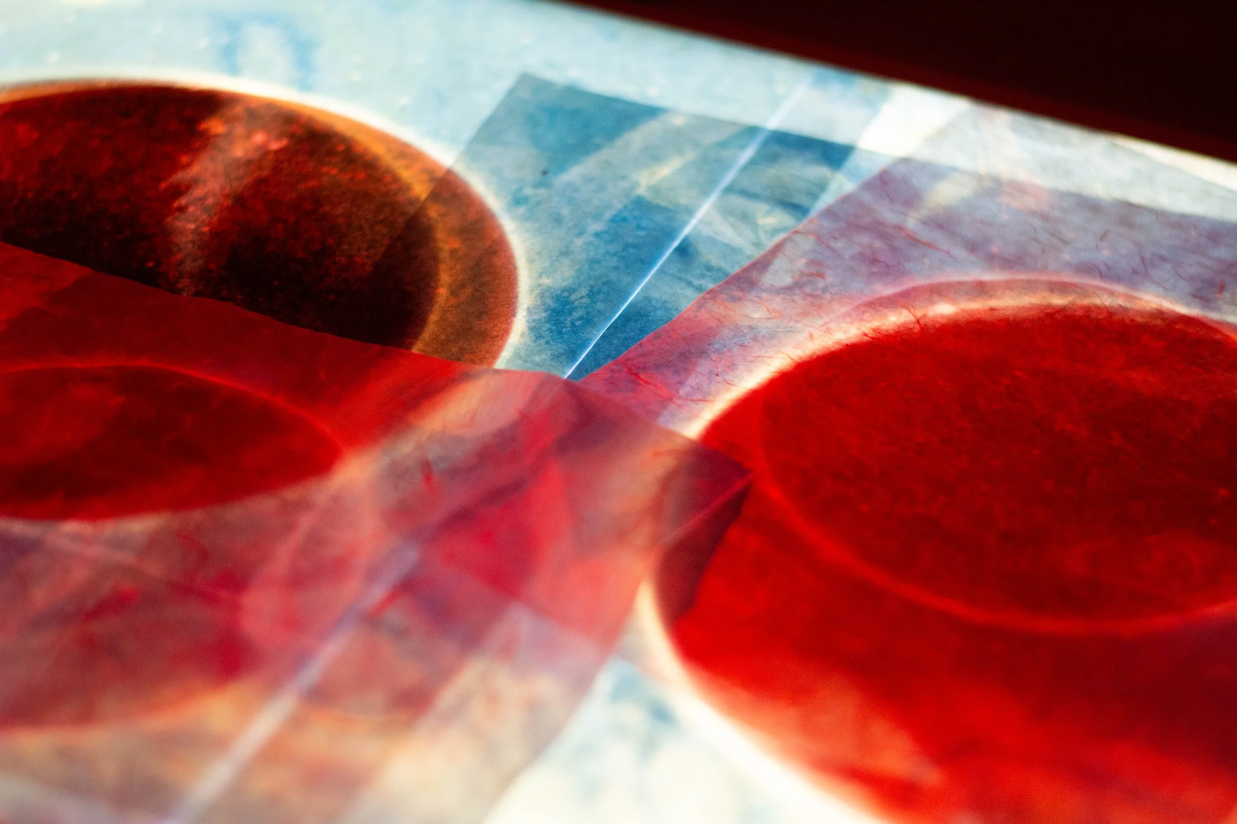 Microscopic-Crimson - Lightbox Installation