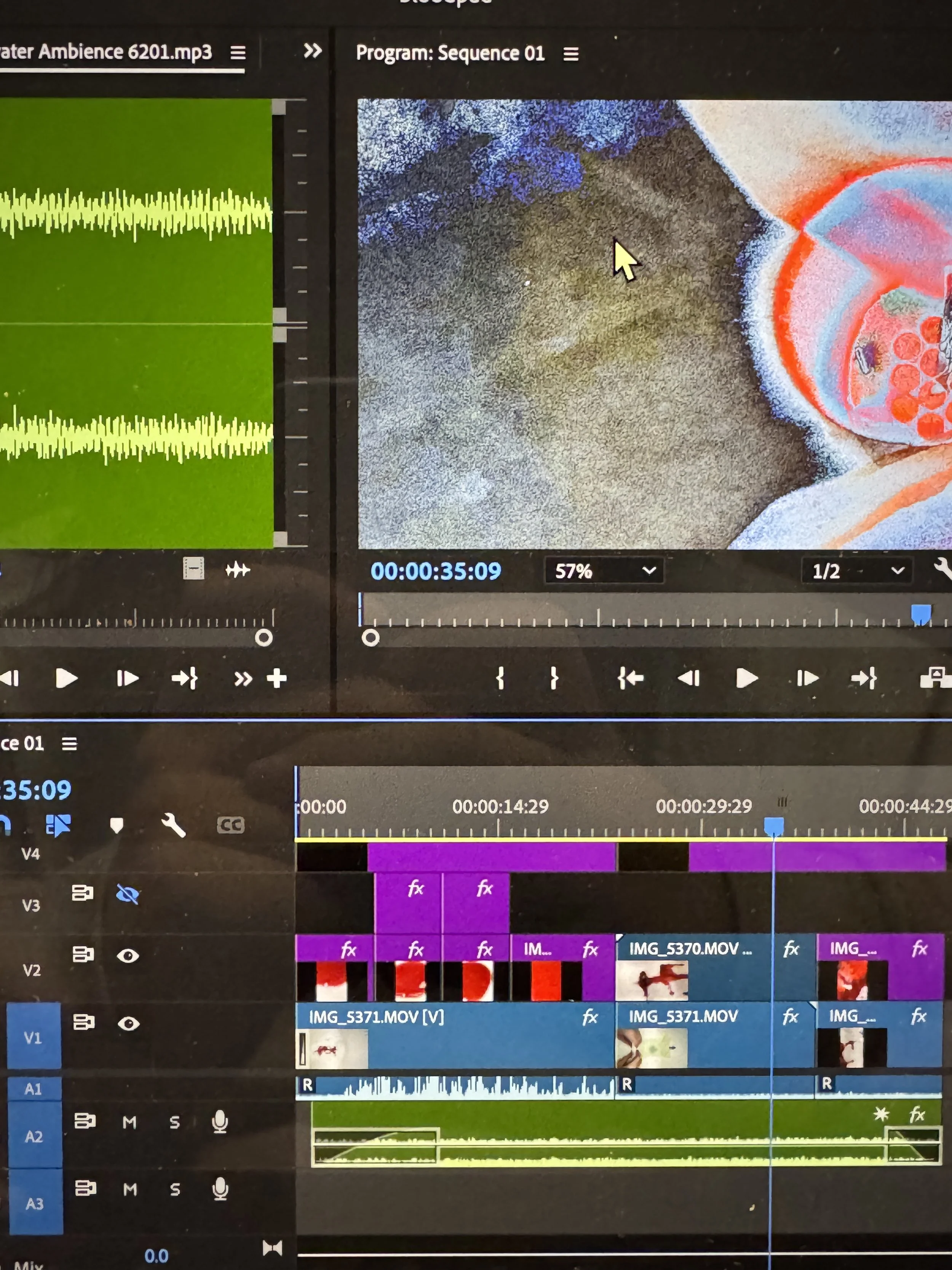 Screenshot of a video editing software showing a waveform, a colorful microscopic or digital image, and various video and audio tracks.