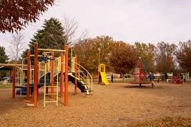DSANV Park Meet-Up (Fairfax)