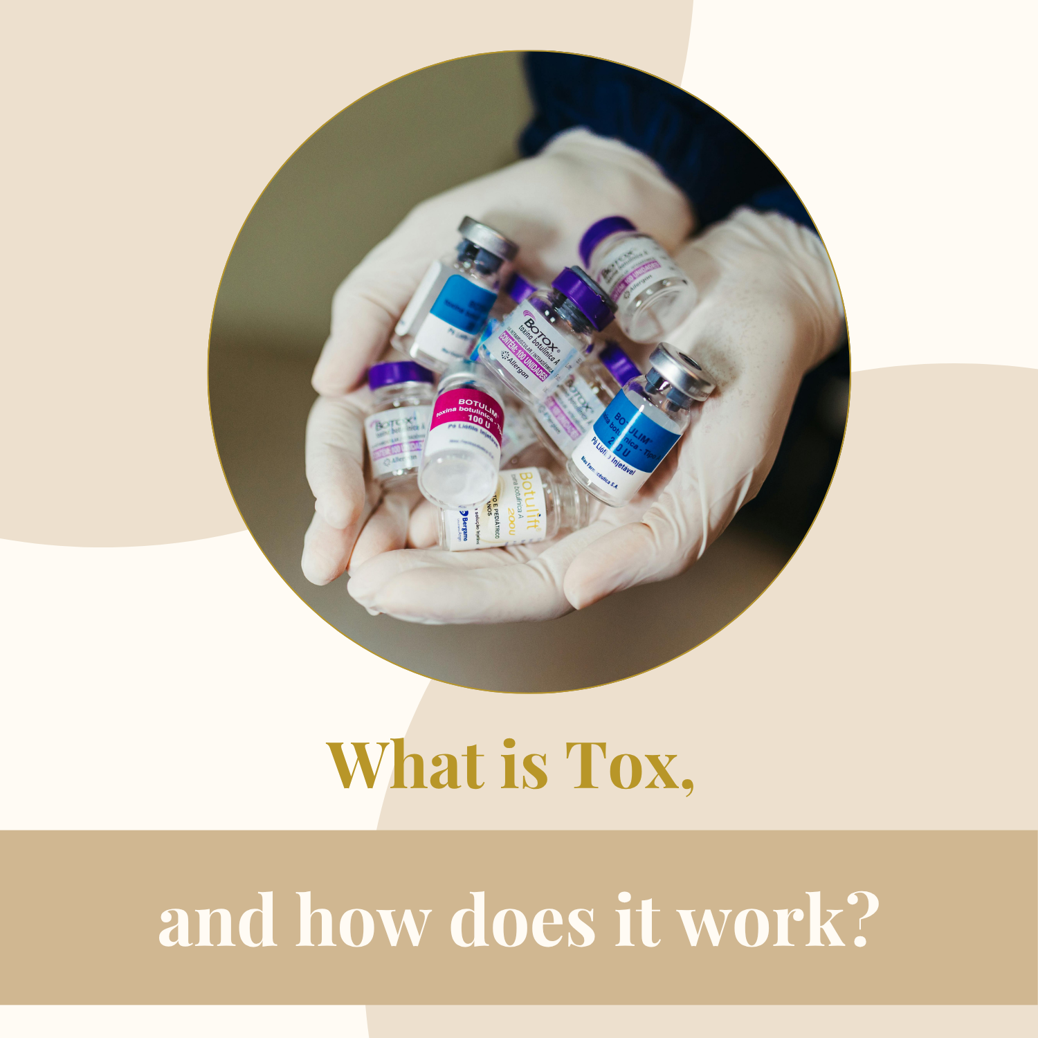 What is Tox, and how does it work?