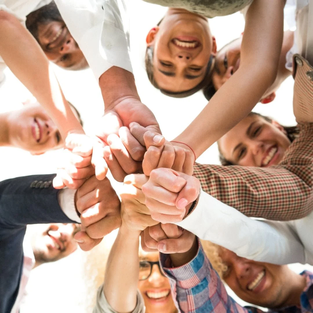 Tox’d Collaborators Program rewards and bonuses