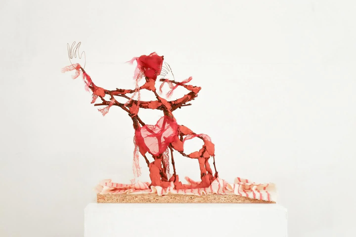 Marsh Woman, 2025

Organza, air-drying clay, tree branches, coloured aluminium wire, lace, calico, wood,
and a mixture of red disperse dye and synthetic blood.