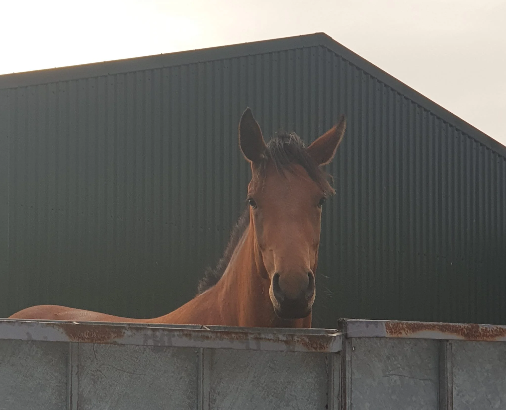 “We’ve Always Done It This Way” — When Tradition Quietly Increases Risk