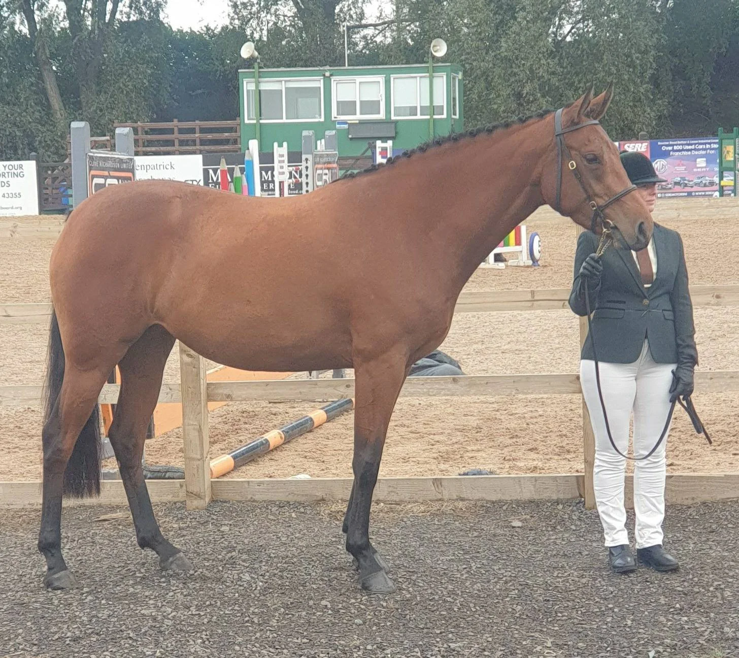 Spring Riding Season: Preparing Horses and Riders for a Safe and Successful Season