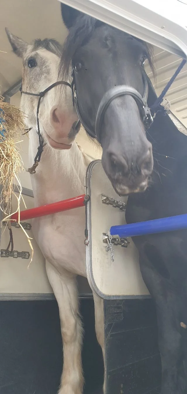 Never Leave Safety to Chance: The First-Show Safety Checks Riders Forget Before Loading Up