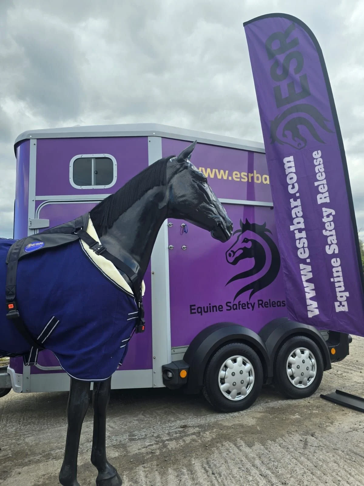 What a Week at Balmoral Show 2026 🐴