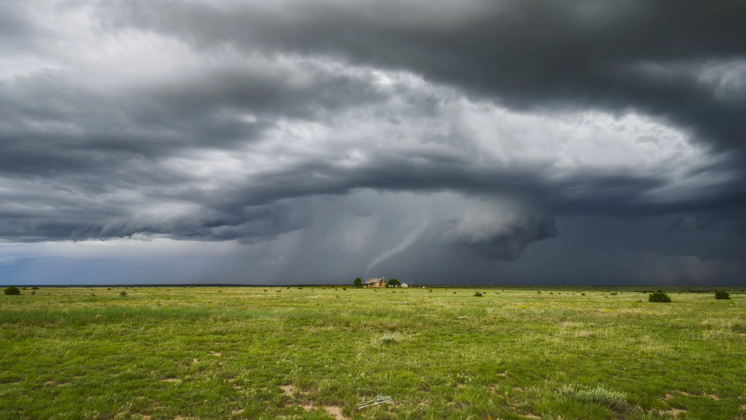 The Only Witness to Goodbye