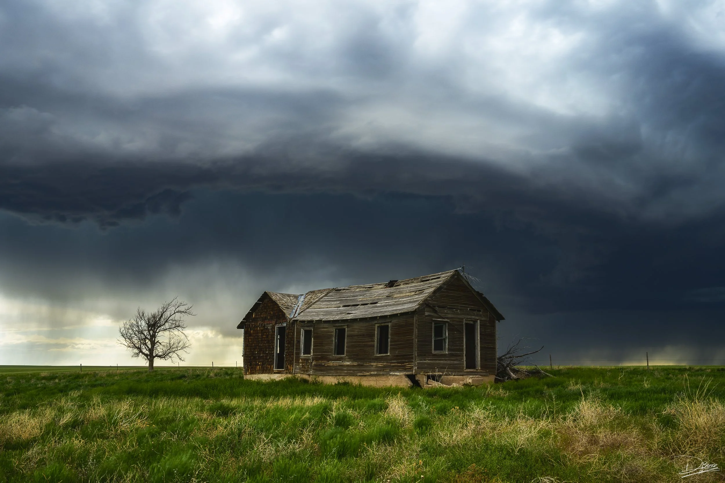 Whispers of the Wind