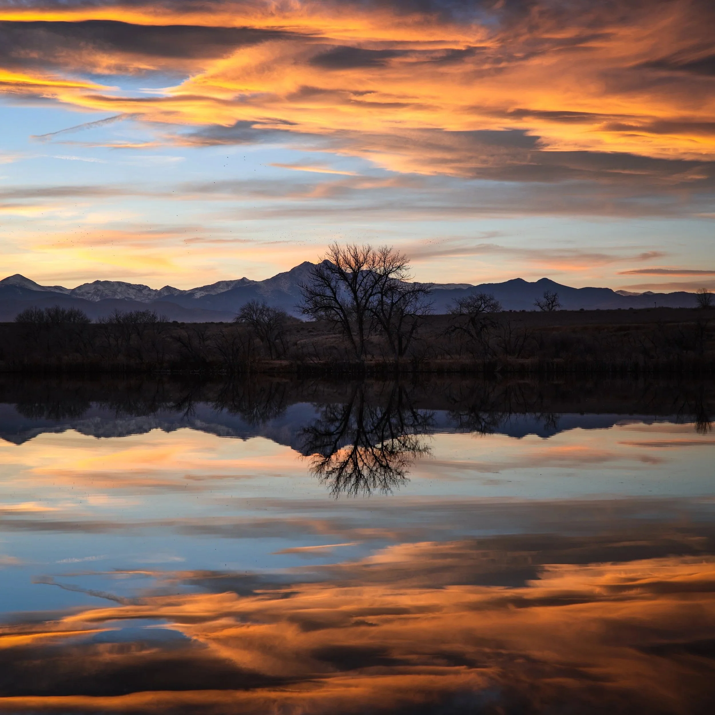 Front Range Reflection