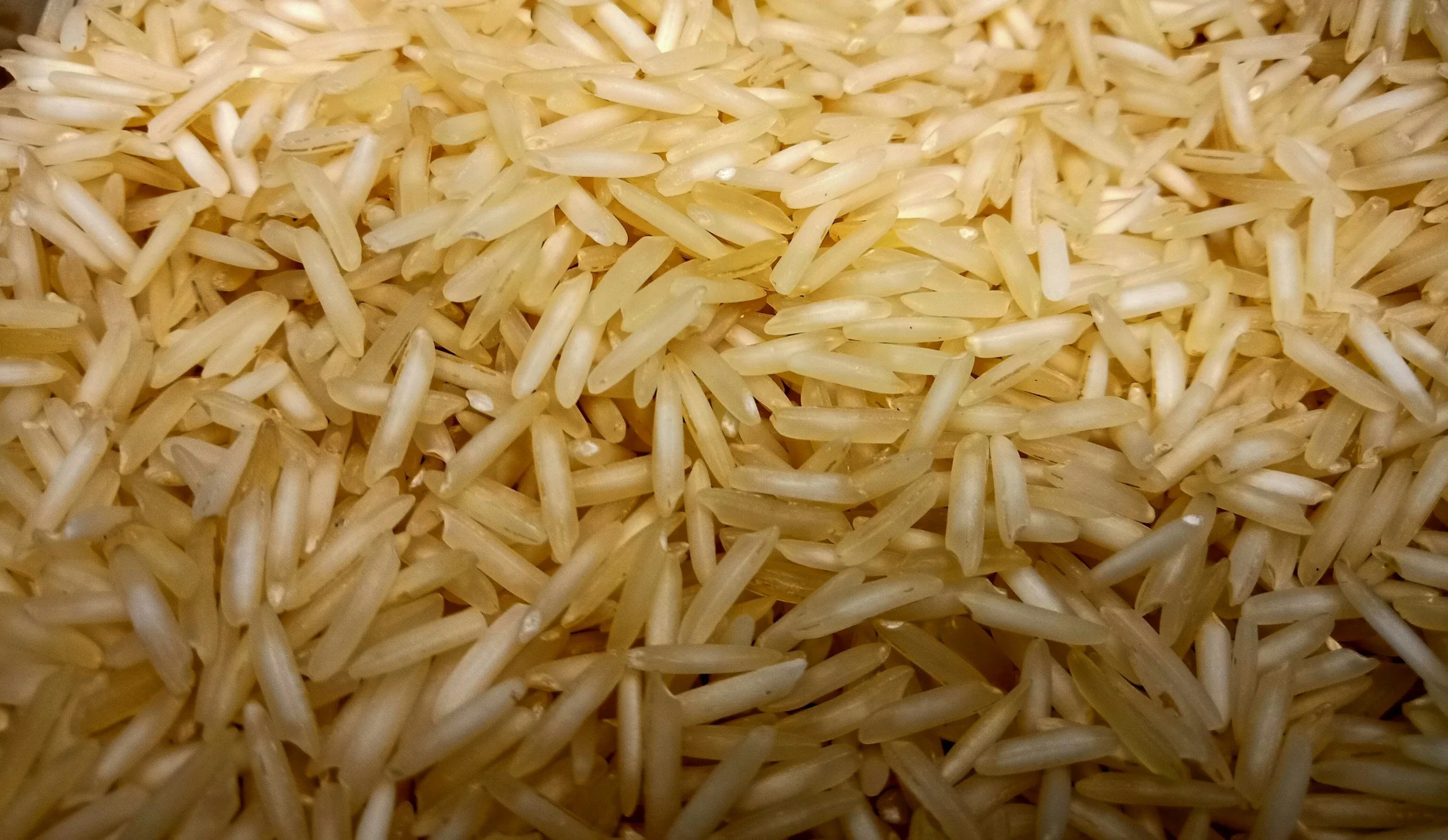 The Ultimate Guide to India’s Finest Premium Rice Varieties Comparison :                           1121 vs 1718 vs 1509 vs 1886 Basmati Rice 