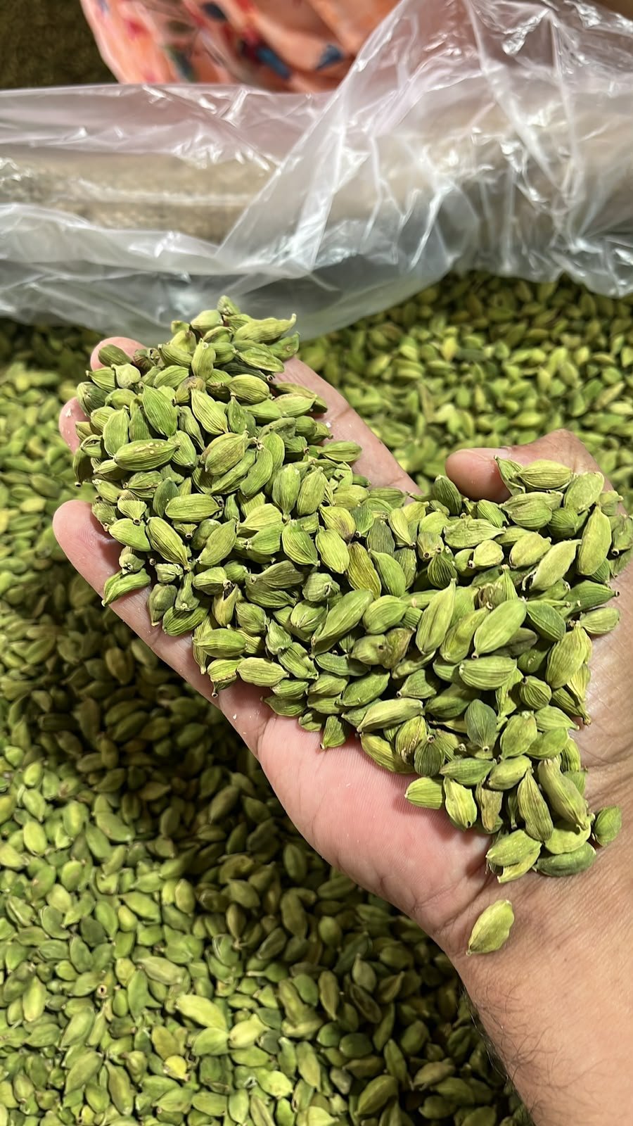 Cardamom exporter india