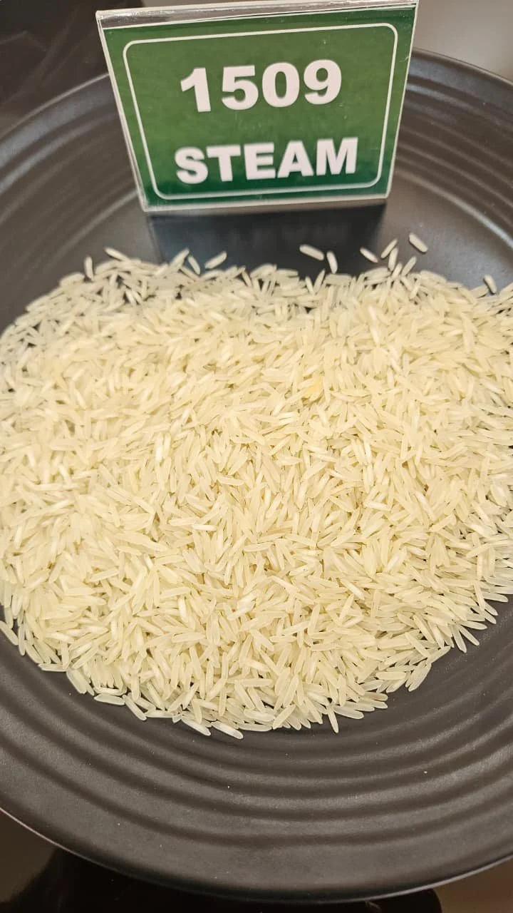Premium Basmati Rice 1509 Steam