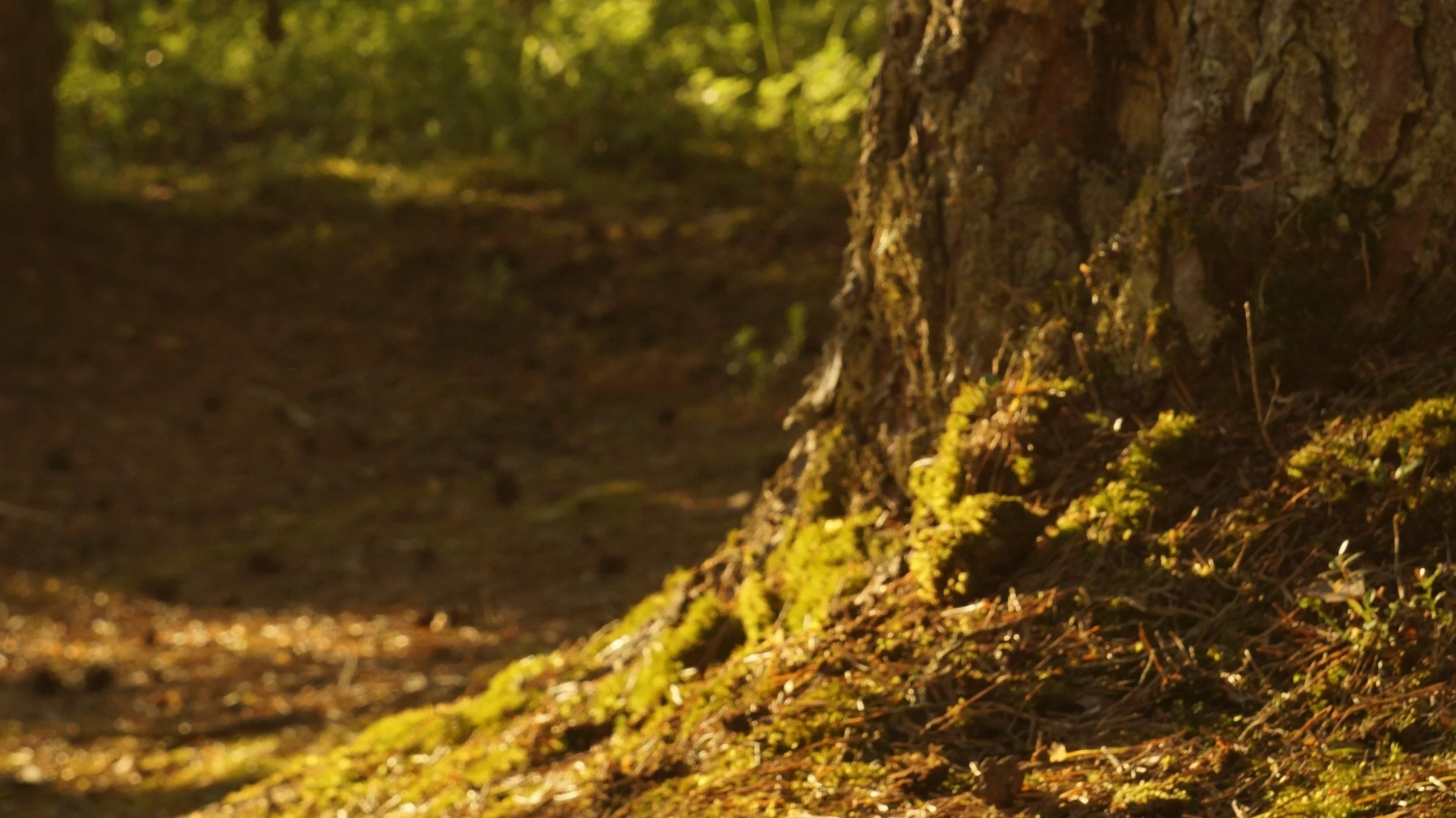 Jauniešu seminārs “Veselums un veselība”