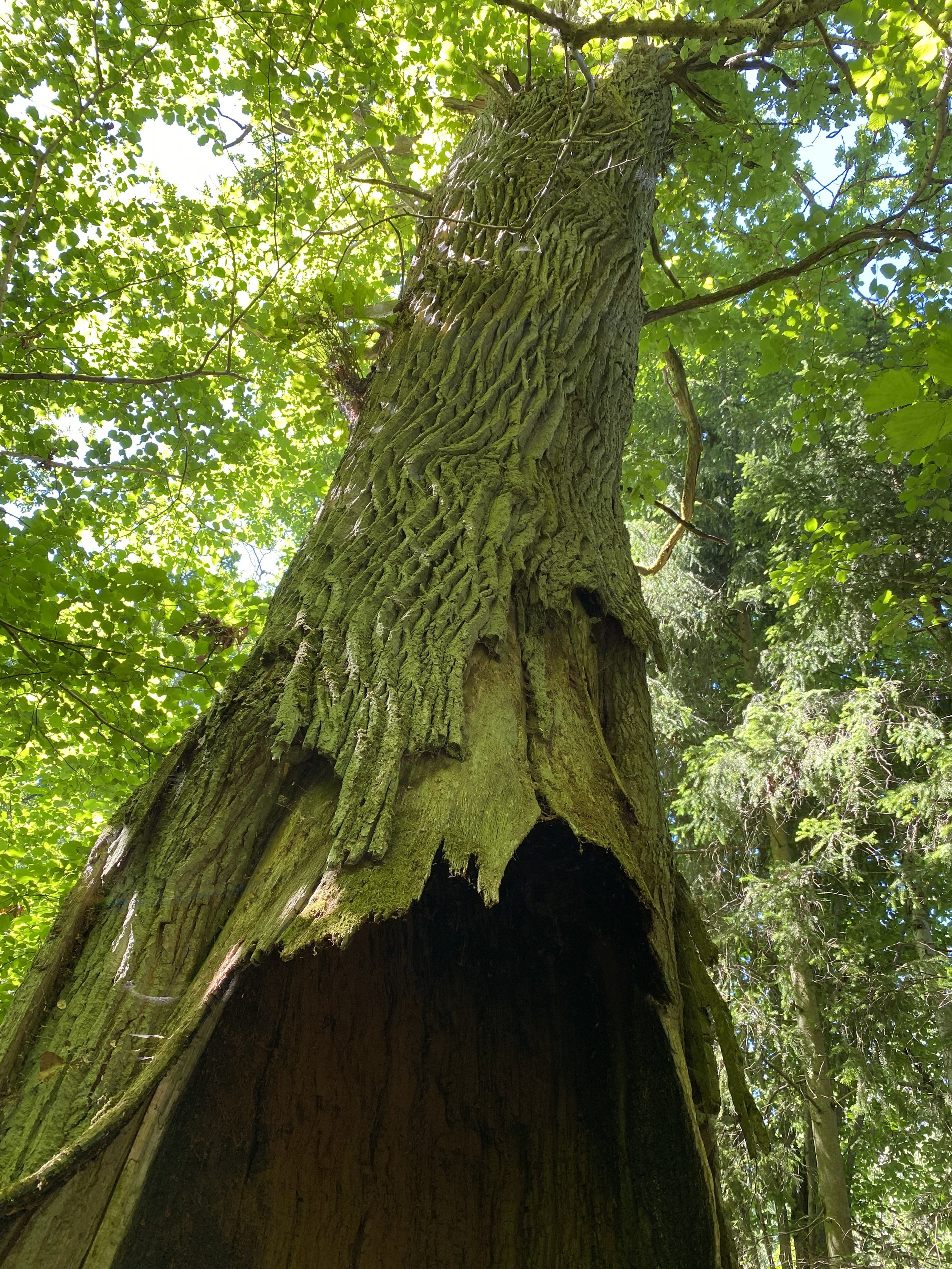 Kā augšā - tā apakšā