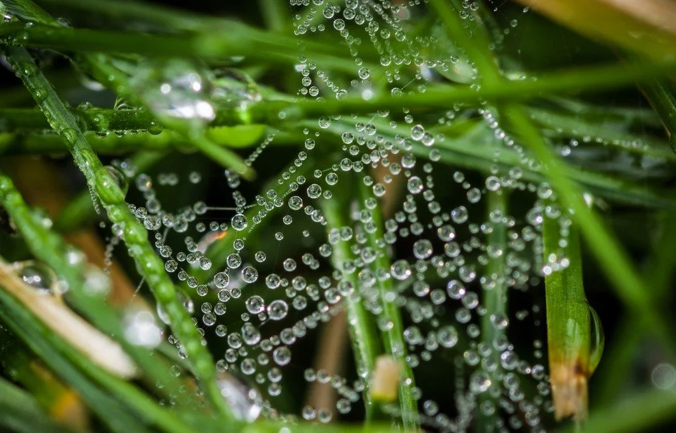 Pasaka par pavedieniem