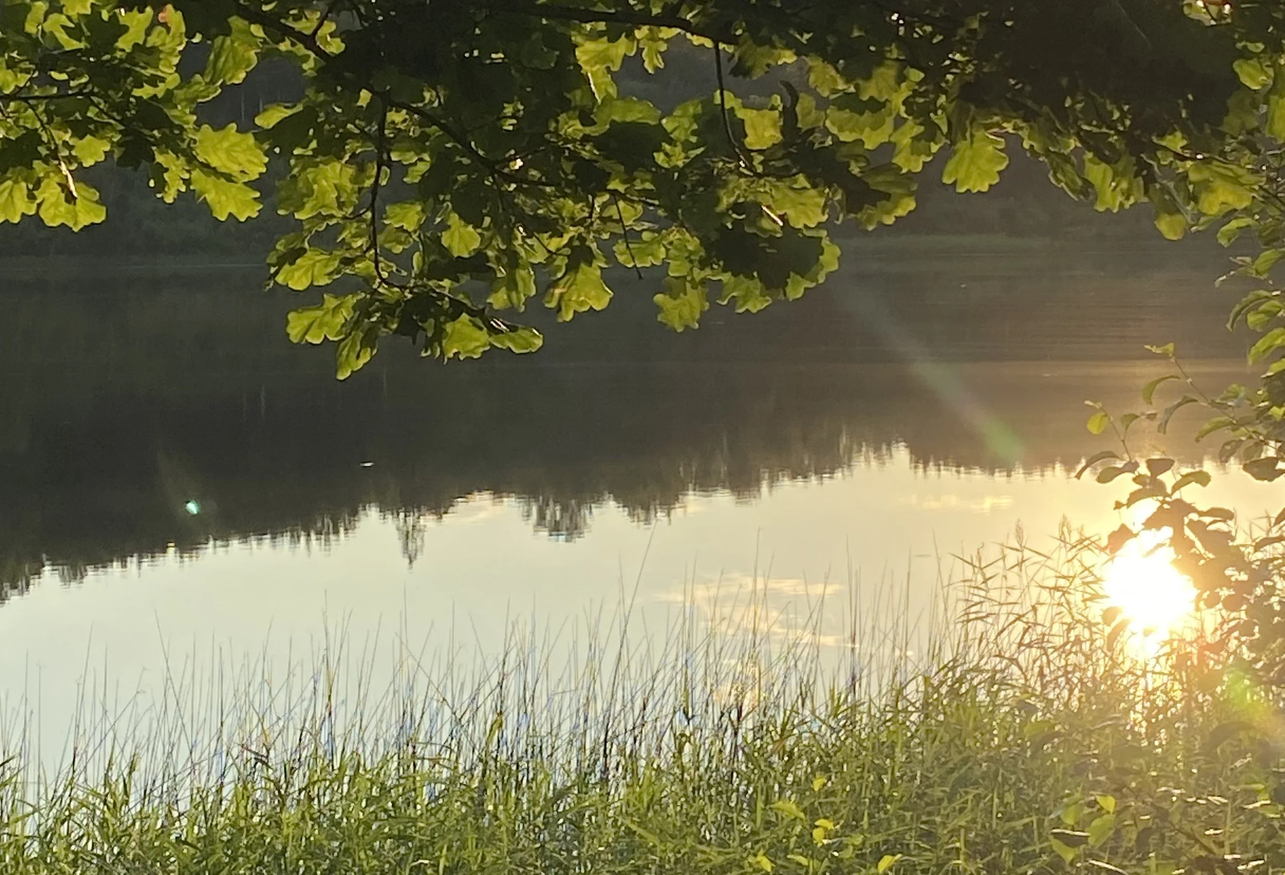 Padziļinātais meditāciju seminārs-retrīts “Sevis izzināšanas dzīlēs” 