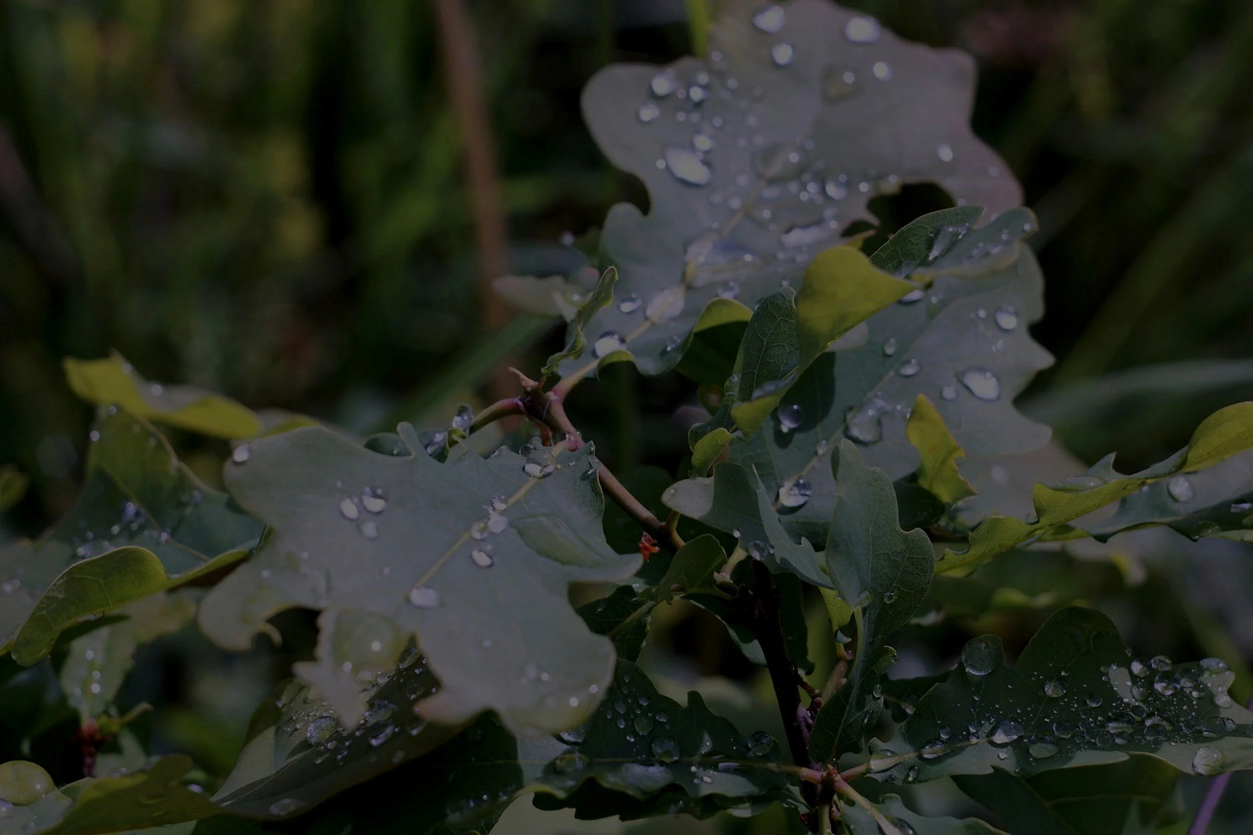 Lielākie “Gaismas klēts” semināri 2026. gadā