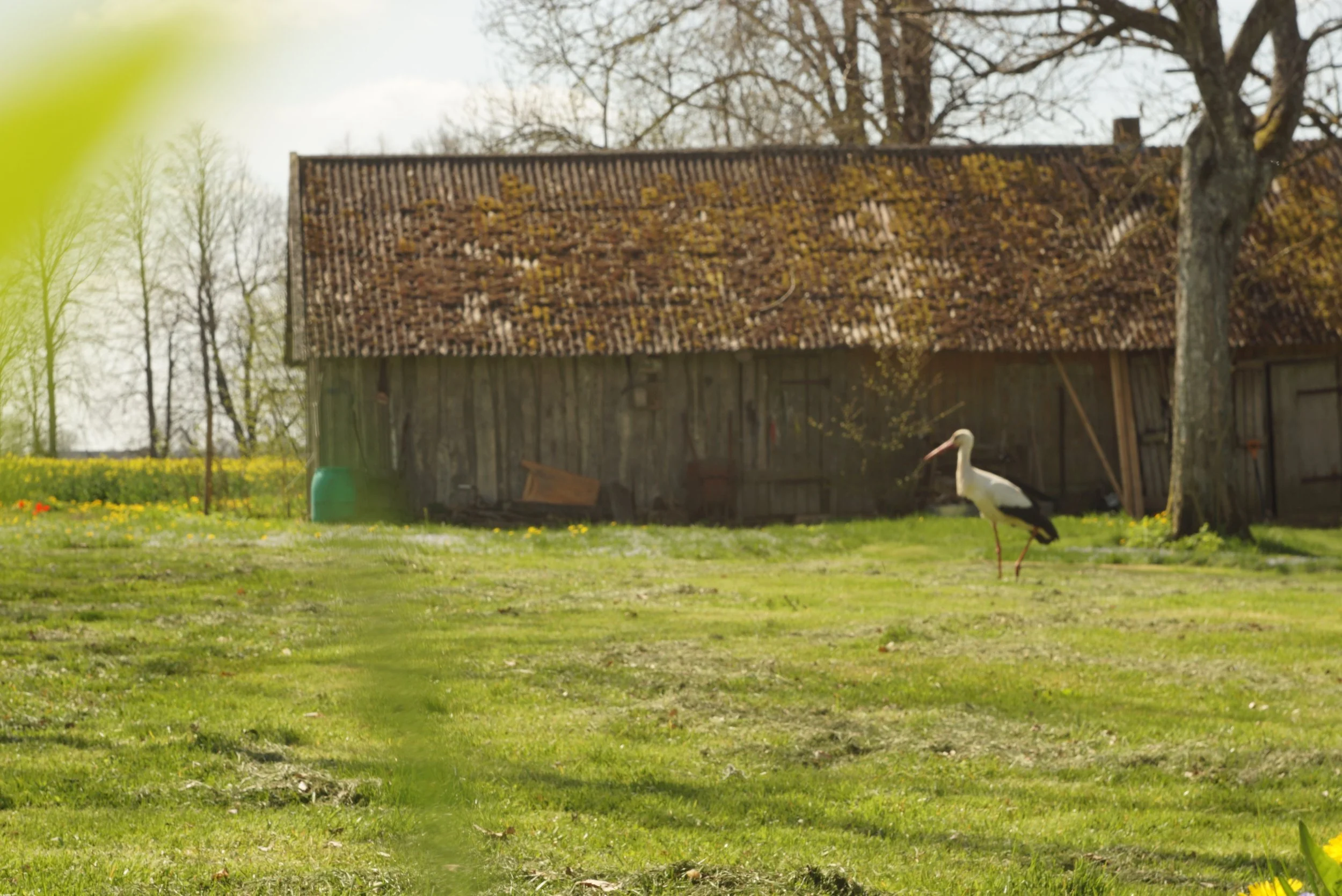 Jauniešu seminārs “Dzimtas spēks un mantojums tradīcijā un mūsdienās”